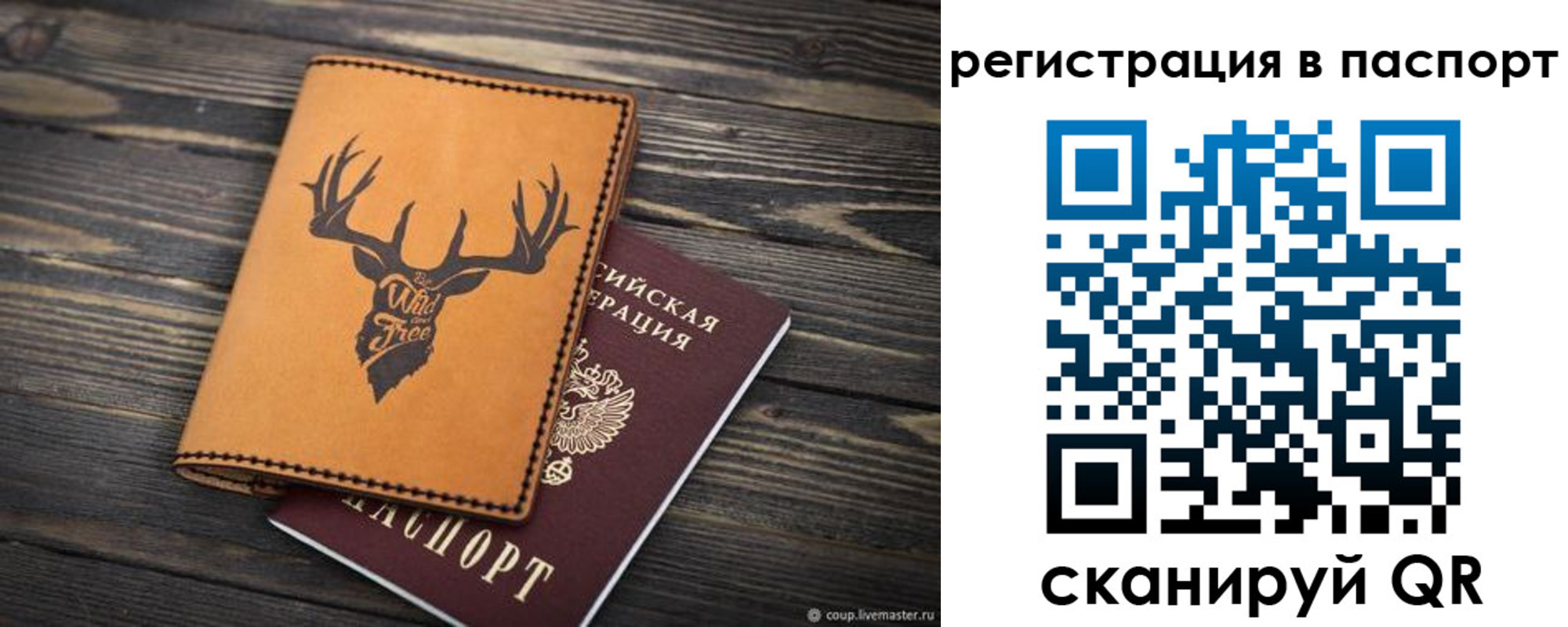 прописка паспорт в Дубне