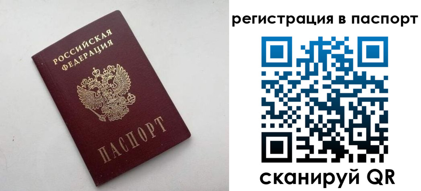 временная регистрация 2025 в Дубне